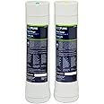 EcoPure Dual Stage Under Sink Replacement Water Set (ECODWF) | NSF Certified | Fits ECOP20 System | 6-Month Filter Life, 2 Count (Pack of 1)