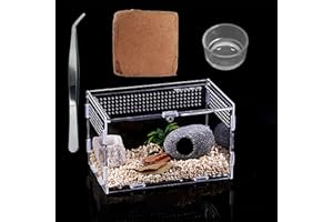TREELF Micro Habitat Terrarium Enclosure Kit（4pc Set）,Jumping Spider Enclosure,Spider Enclosure,Tarantula Enclosure, Acrylic Reptile Enclosure(8 * 4.7 * 4.7 Inches)