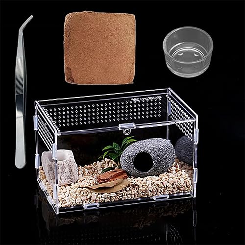 Micro Habitat Terrarium Enclosure Kit(4pc Set),Jumping Spider