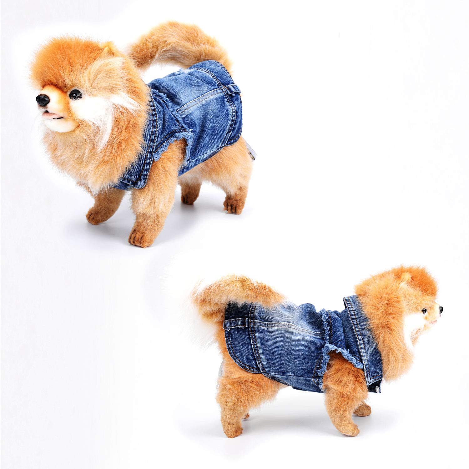 denim vest dog