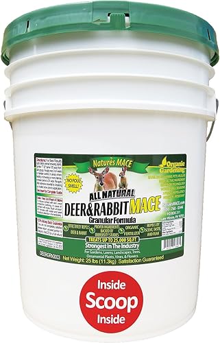 hstcstbl-table__image