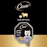 Cesar Premium Dog Wet Food Garden Terrine Loaf Lamb Turkey Green Beans 8x150g view 6