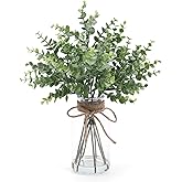 Coferset Eucalyptus Stems in Glass Vase with Faux Water, 14" Eucalyptus Fake Plants for Home Bathroom Counter Office Kitchen Farmhouse Shelf Centerpiece Coffee Table Decor(Sage Green)