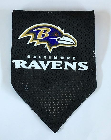 dog ravens jersey