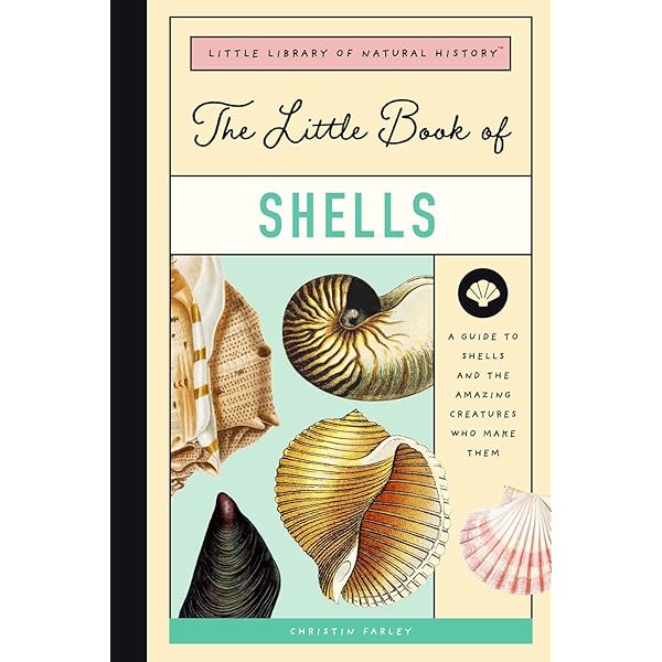 The Book of Shells: A Life-Size Guide to Identifying and