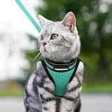 rabbitgoo Cat Harness and Leash Set Escape Proof Adjustable Vest Green Large view 9