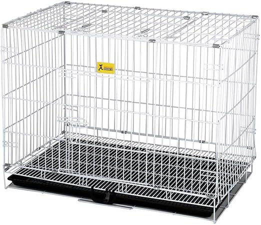 dog chewing metal crate