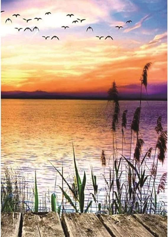 Amazon.com: Large Size Diamond Painting Kits for Adults 40x60cm Full