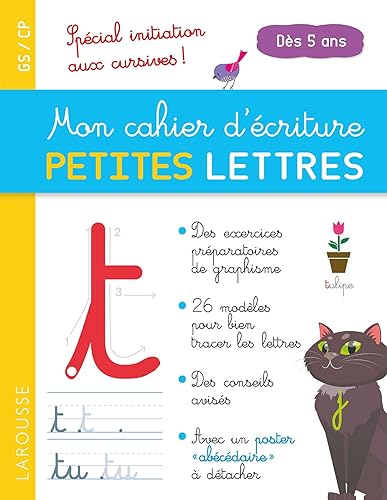 Download Mon cahier d'écriture PETITES LETTRES dès 5 ans PDF