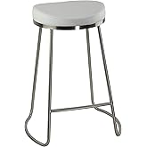 Cortesi Home Bianco Backless Counter Height Stools in Brushed Stainless Steel, Set of 2, White