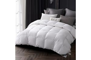 Globon Goose Down Comforter Queen Size, 800 Fill Power All Seasons Luxury Duvet Insert, Soft 420 Thread Count Noiseless Shell, Medium Weight with 8 Corner Tabs,White
