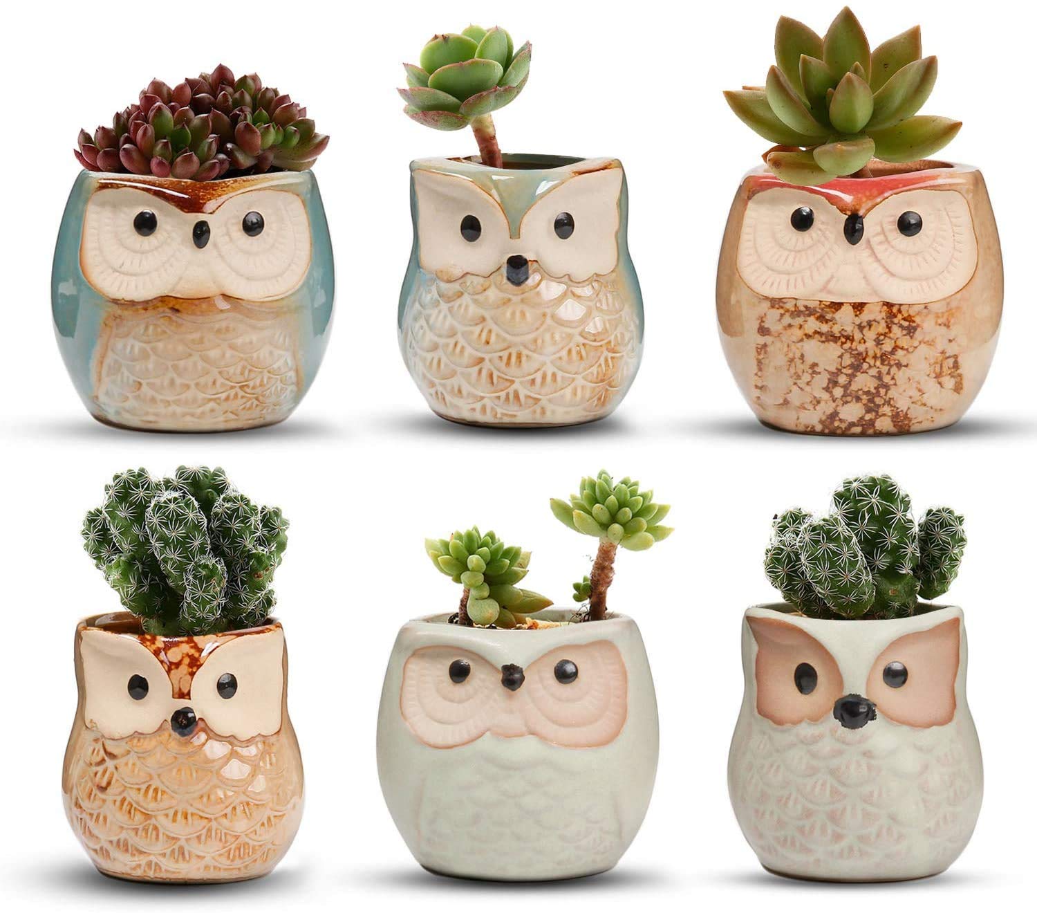 Voarge Ceramic Vases (6pcs) Ceramic Owl Flower Pot Ceramic Plant Cactus Flower Pot Flower Pot Flower Pot Planter Container Bonsai Pots with One Hole Idea
