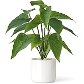 Mkono Fake Plants in Ceramic Pot, 11" Potted Artificial Plants for Home Decor Indoor Faux Green Leaf Plant with Modern White Planter for Desk Shelf Office Room Decoration (Pothos)