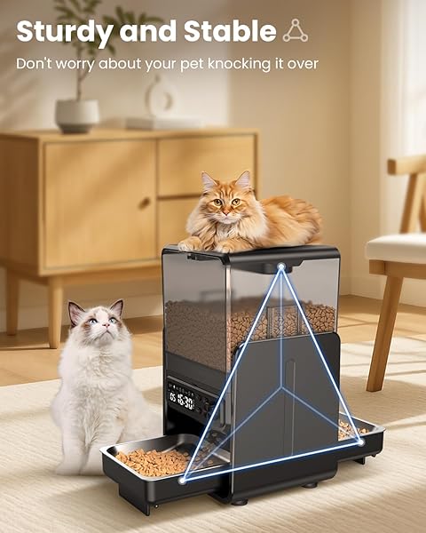 CITYFLEE AUTOMATIC CAT FEEDER FOR 2 CATS, 5L/20 CUPS FOOD DISPENSER WITH ADJUSTABLE RAISED DOUBLE BOWLS, DETACHABLE CONTROL PANEL, TIMED CAT AND DOGS FEEDER FOR DRY FOOD, DUAL POWER SUPPLY