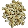 Bhavicreation Yellow Cowrie for Puja - 30pcs Peli Kaudi Yellow Kaudi Money Cowrie Laxmi Puja Samgari