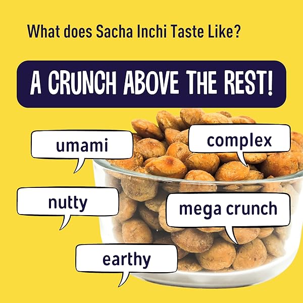 BRASS ROOTS ORGANIC ROASTED SACHA INCHI SEEDS, LIGHTLY SALTED | KETO, PALEO, ALLERGEN FREE, LOW FODMAP (12 OZ, PACK OF 1), SEEN ON SHARK TANK