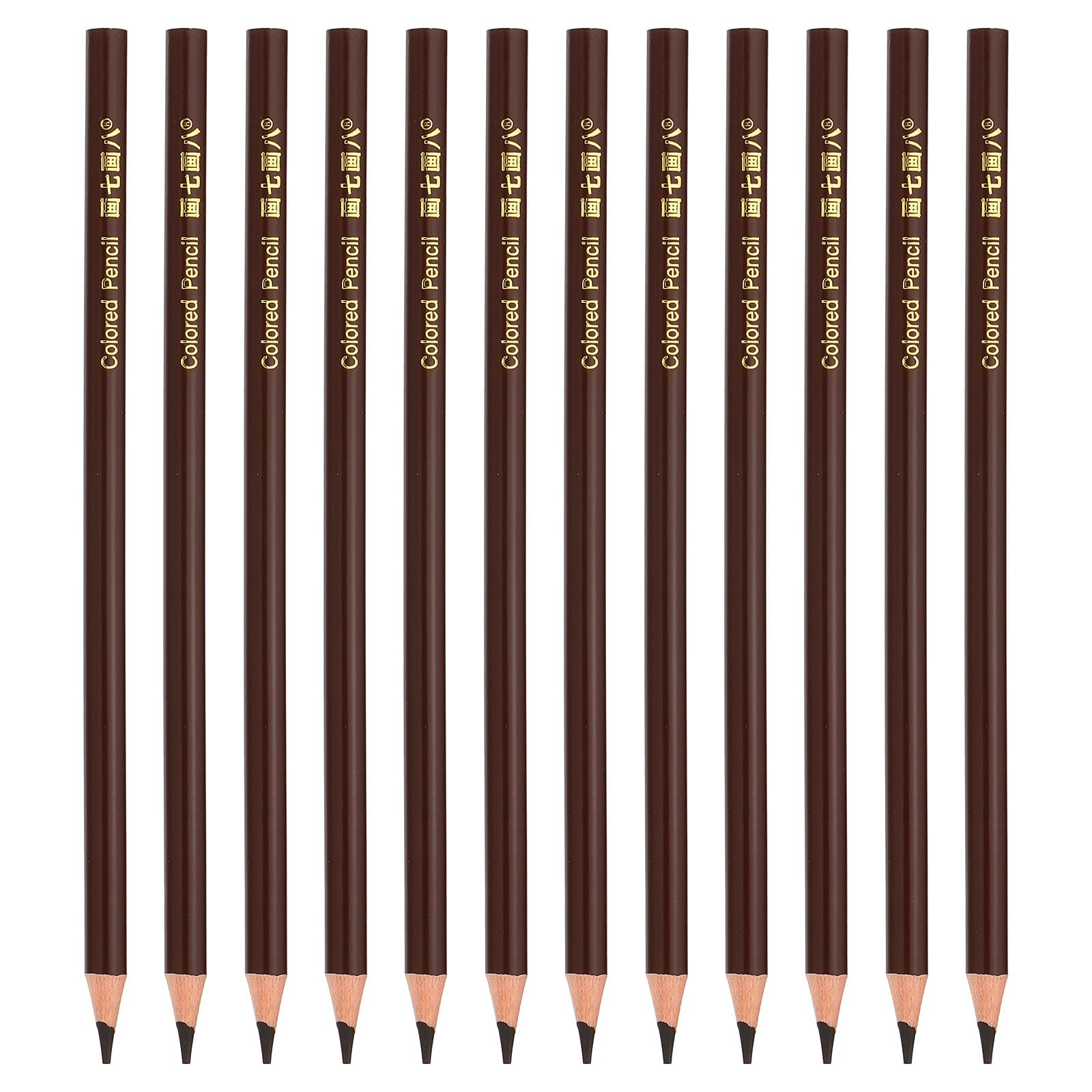 PATIKIL Coffee Colored Pencils Set,12 Pcs Oil Color Pencils Wooden Coloring Drawing Pencil for Artists Art Painting