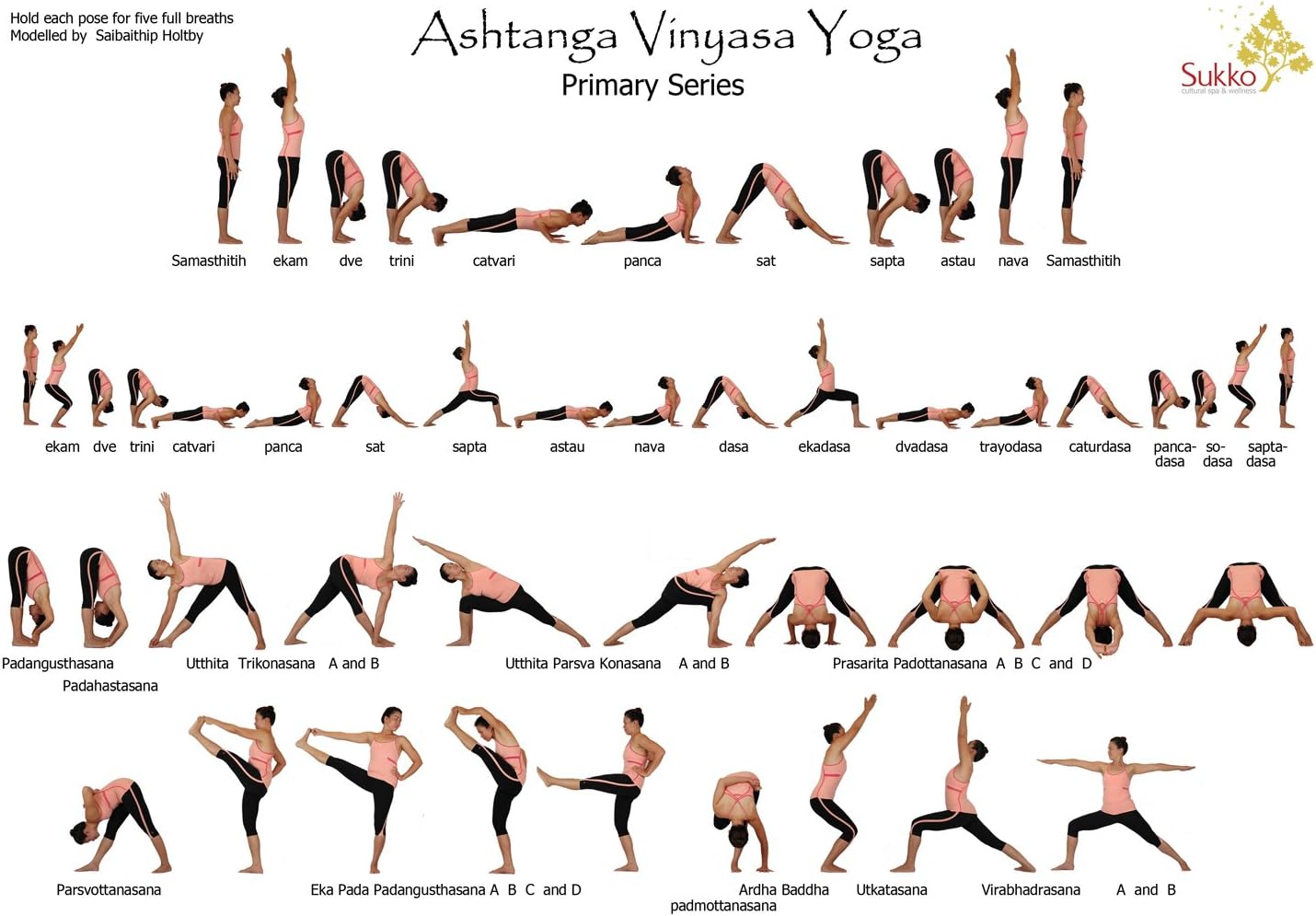 Yoga Ashtanga Art For Home Room Hall Wall Print Decoration poster 17x13"
