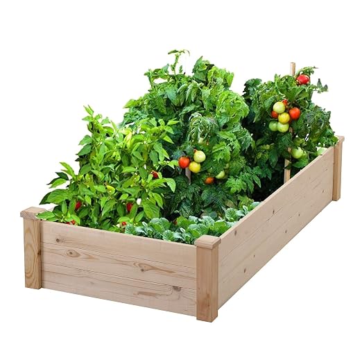 HYD-Parts - Juego de Maceta para jardín para Verduras, Frutas ...