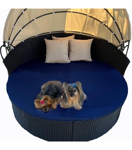 GoTo Foam 3\" Height X 15\" Diameter (Circle) 44ILD (Firm) Upholstery Cushion Made In USA
