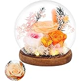 Preserved Roses Real Flowers in Glass Gifts for Women,Mom,Girlfriend,Grandma,Long-Lasting Eternal Roses with Led Lights,Flowers for Delivery Prime Valentines,Birthday,Mothers Day,Christmas(Champagne)