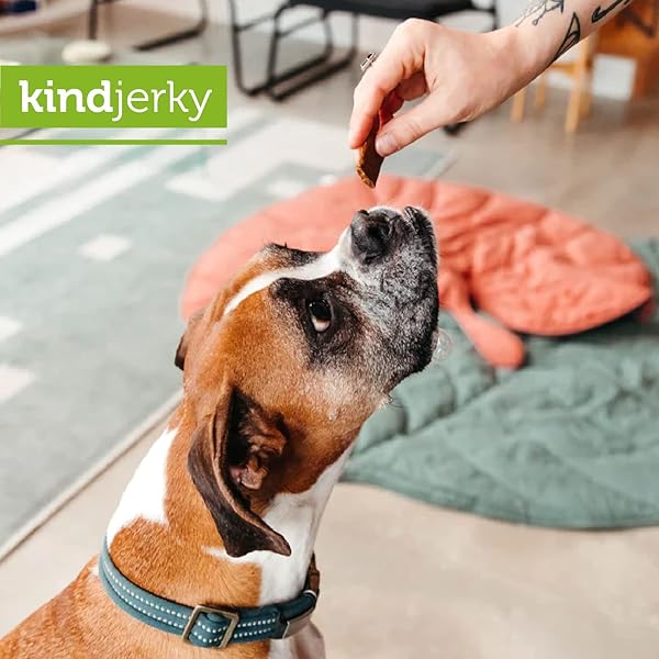 V-DOG KIND JERKY – 100% VEGAN JERKY DOG TREATS – PLANT BASED PROTEIN AND SUPERFOODS – 8 OUNCE – ALL NATURAL – MADE IN THE USA