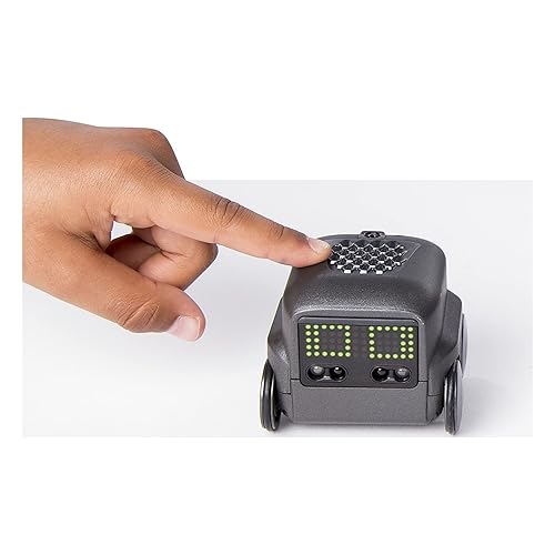 Boxer Interactive Robot Toy (Black) with Personality and