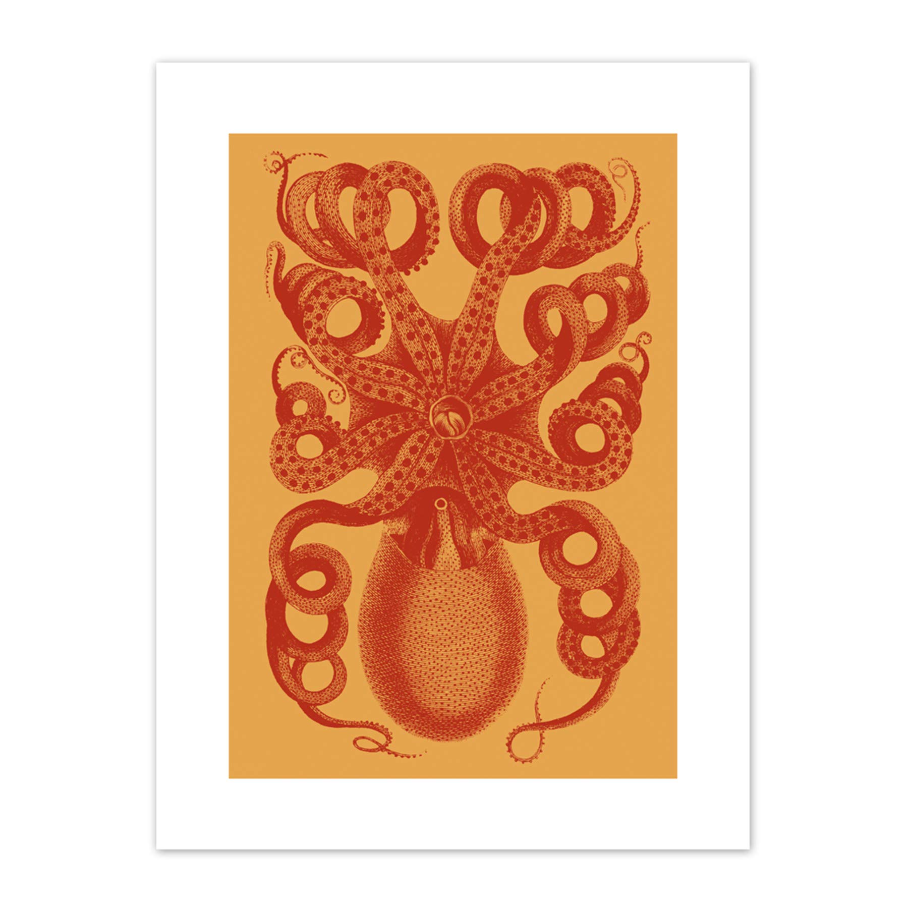 Octopus Coral Yellow Art Print Canvas Premium Wall Decor Poster