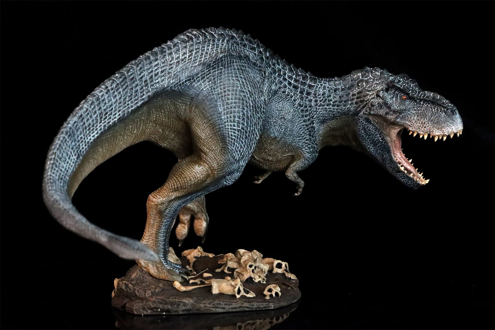 Amazon.co.jp: Nanmu 本心楠改 Berserker Empress 2.0 42.5cm級