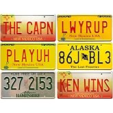 - Set of 6 Replica License Plates of The Cars of The TV Series Breaking Bad - PF19