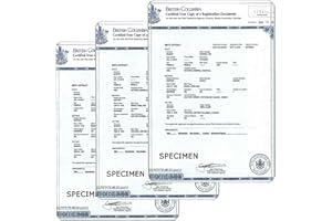 Birth Certificate Holder Canada - 5x7 Inches, Sturdy Clear Plastic Birth Certificate Holder, Protective Cover for Newborn Bab