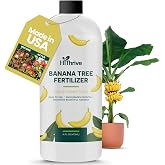 Banana Tree Fertilizer for Sweet, Flavorful Fruits, 16oz | HiThrive Liquid Plant Food, Promotes Lush Growth, Strong Roots, and Abundant Harvest, Makes 16 Gallons