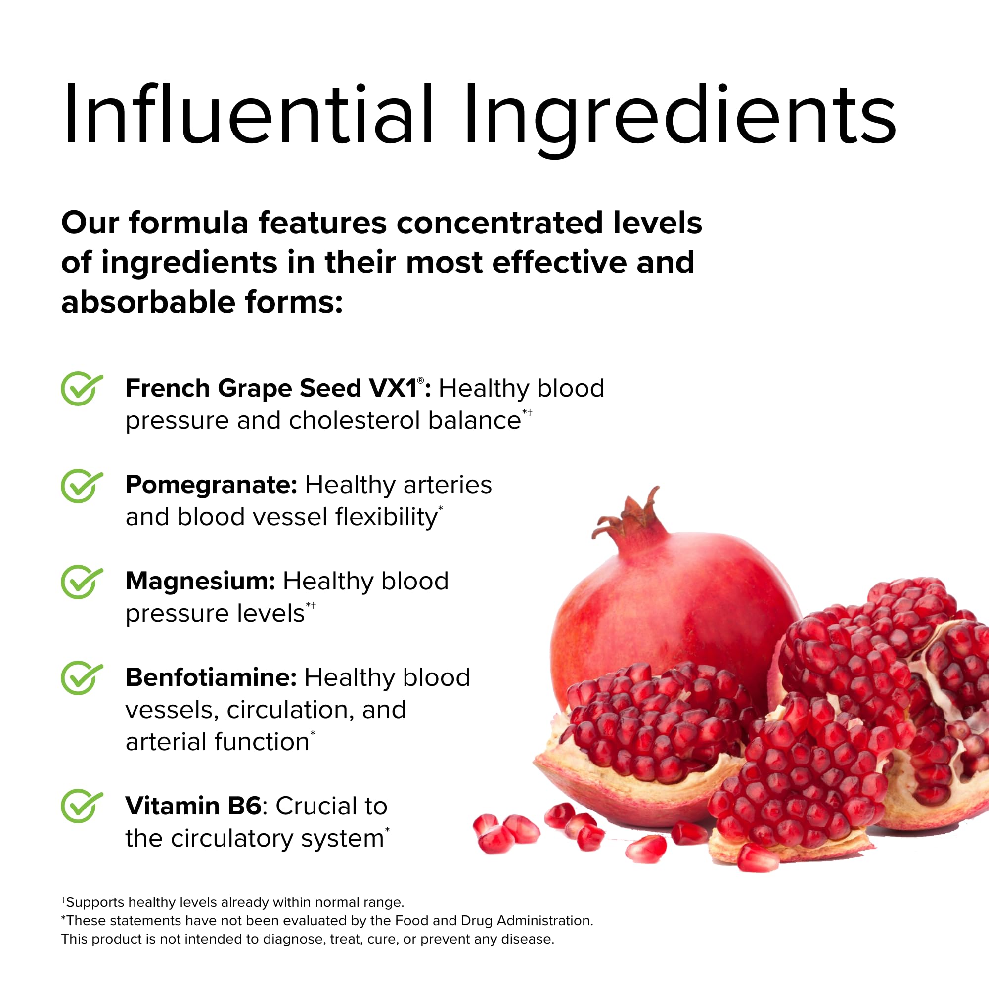 Terry Naturally Clinical OPC Heart - Heart Health Supplement with Magnesium, Vitamin B6, Grape Seed Extract - Dietary Supplement for Artery Health & Circulation - 60 Capsules