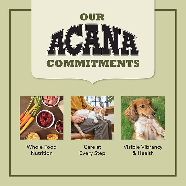ACANA CHEWY STRIPS LIMITED INGREDIENT DOG TREATS SALMON RECIPE WITH SKIN, COAT, & DIGESTIVE SUPPORT 4OZ BAG