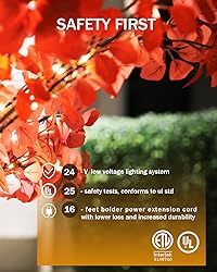 TYBEEU 6FT 5-Leaf Lucky Tree with Warm White Lights