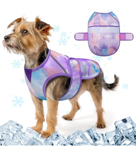 thumbnail image 2 of COMFPET Dog Cooling Vest For Medium Dogs (22-44 Lbs) - Lightweight, UV Protection, For Summer, Blue, Medium 2 of 8
