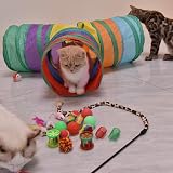 ACNCN 22 Pcs Cat Toys Set Interactive Indoor Kitten Toys Rainbow view 4