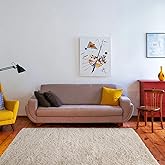 YUFANUHO Fluffy 3x5 Feet Beige Area Rugs for Living Room, Ultra Soft 3'x5' Pure Solid Beige Shag Rugs for Bedroom, Kids Room,