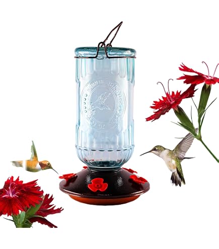 More Birds Kolibrifutterspender Aus Glas – 5 Trinkstellen, 740 Ml Fassungsvermögen Im Mason Jar Look