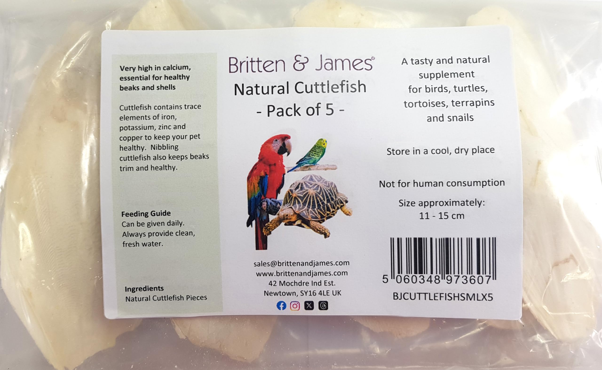 Britten & James Natural Cuttlefish 11 – 15cm (Pack of 5). Suitable for parakeets, budgies and canaries, tortoises, turtles, snails and terrapins