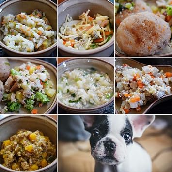 Amazon 愛犬用手作り食 低リンで腎臓に優しい7食bセット ハウンドカム食堂 レンジでチンするだけ ハウンドカム食堂 ウェット 通販