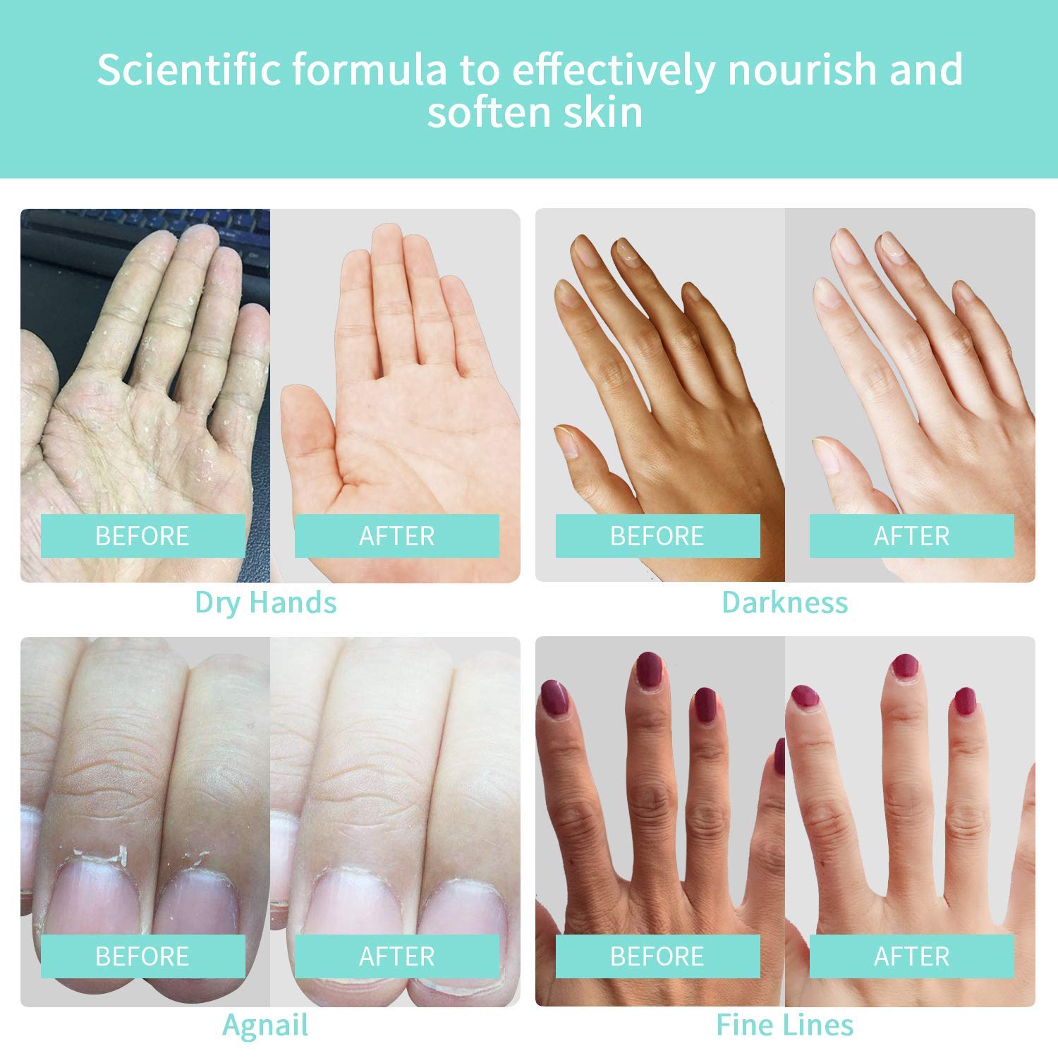 Hand Cream Hand Moisturizer - 10 Pack Plant Fragrance Hand Cream Moisturizing Hand Care Cream Gift Set for Working Hands & Dry Skin, Travel Size Hand Lotion, Best Women Gifts-30ml : Beauty