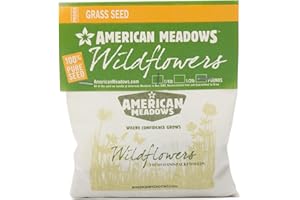 American Meadows Micro Clover Grass Seed Mix - Specially Blended Lawn Alternative, Low Maintenance, Great Ground Cover, Durable for High Traffic Areas, Drought Tolerant, Micro Clover Mix (1/4 lb.)