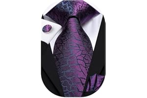 Hi-Tie Woven Silk Neckties for Men with Pocket Square and Cufflinks