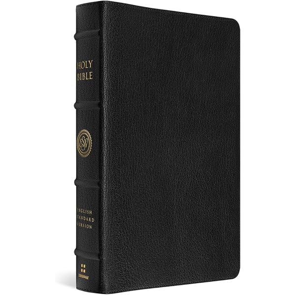 ESV Topaz Reference Edition, Black Calfskin Leather, ES675:XR