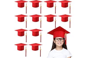 Berlune Child Size 2025 Preschool Grad Caps Bulk Kindergarten Graduation Cap Grad Hats with Metal 2025 Tassel for Preschool