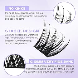 Lash Clusters Individual Lashes C/D Curl Cluster