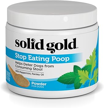 best food to feed great dane puppy