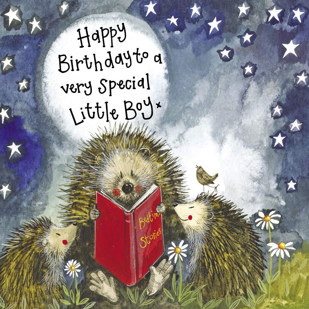ALEX CLARK Happy Birthday Little Boy Hedgehog Card - British Wildlife - Starlight - Nature - Plants - Birds - For Him - Greeting Card - Cards To Celebrate - Designed and Printed in the UK…