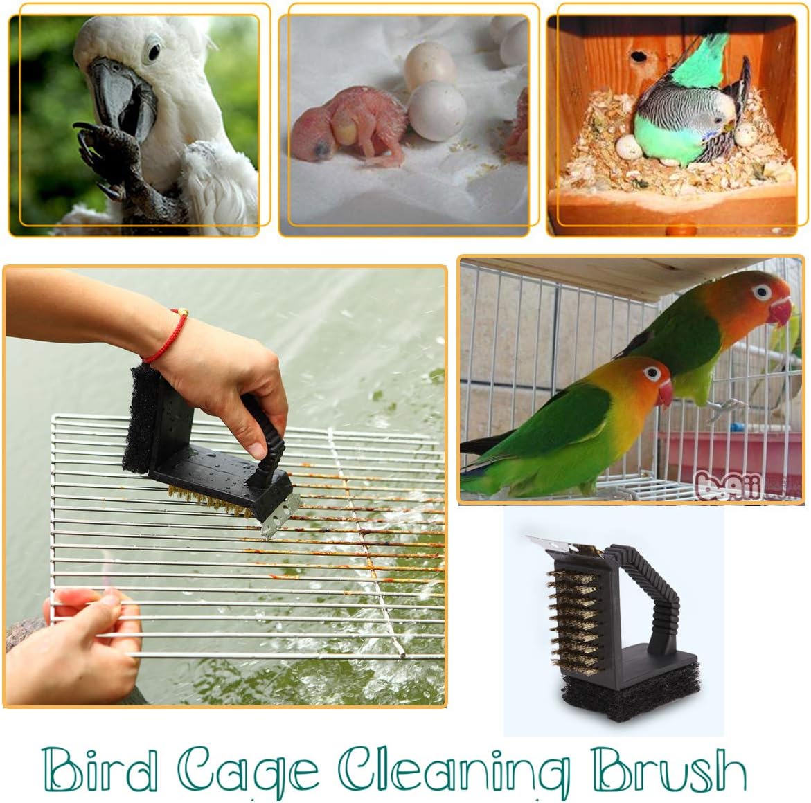 Bonaweite Bird Cage Cleaning Brush, Multi-Function Stainless Steel Triangle Birdcage Cleaner, Pet Supply Kennel Cage Accessory for Parrot Birds Dogs Cats : Pet Supplies
